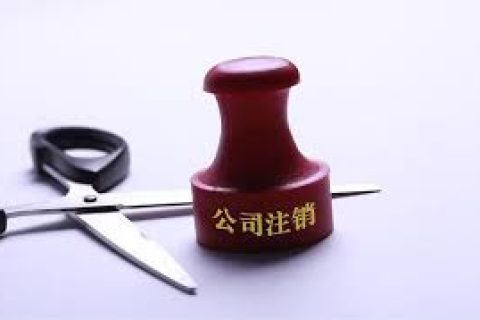 拉薩注銷一個公司，需要去幾個部門？整體時間需要多久？大概流程是怎樣的？