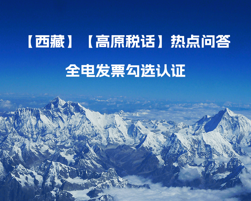 西藏自治區全電發票如何勾選認證？
